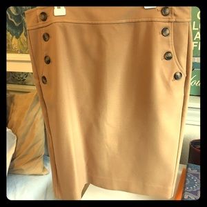 Ann Taylor Loft Skirt